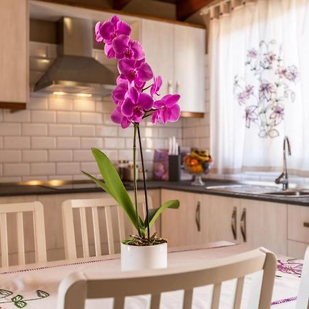 Casa Quintana - Apartamento Carla Тихарафе Экстерьер фото